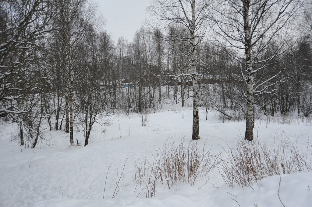 На этой поляне по плану должны появиться скаймейки, урны и фонари. Фото: ИА "Республика" / Сергей Юдин.