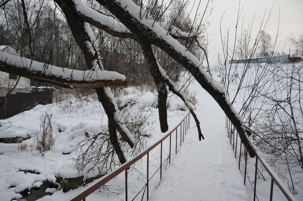 Ветви деревьев, нависающих над мостом, активисты хотят убрать - из соображений безопасности. Фото: ИА "Республика" / Сергей Юдин. 