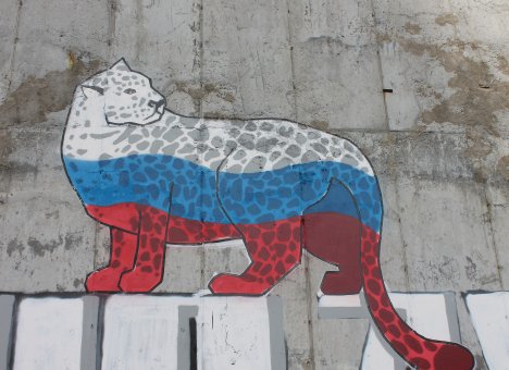 Владивосток к выборам разрисуют граффити