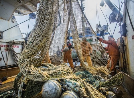 Рыбопромышленные компании Приморья будут строить суда за счет инвестиционных квот