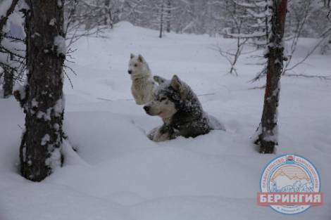 Шестой этап 