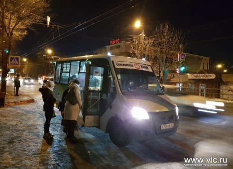 Жители Владивостока проголосовали за 