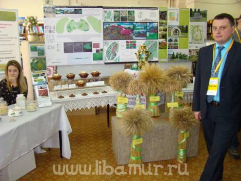 На II Амурской инновационной выставке расскажут, как топить печки снегом и снизить загазованность от автомобилей