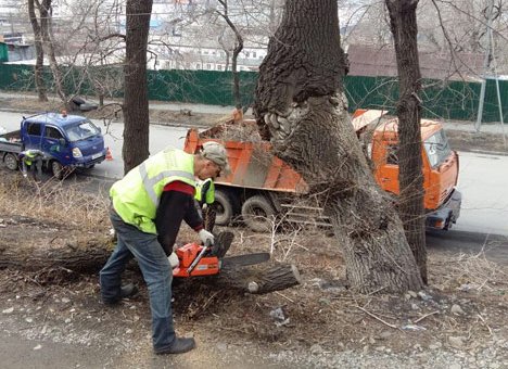 Двухмесячник чистоты в самом разгаре