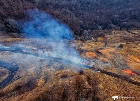 Эксперты Softline: Компьютерное зрение могло бы минимизировать ущерб от лесных пожаров в ДФО