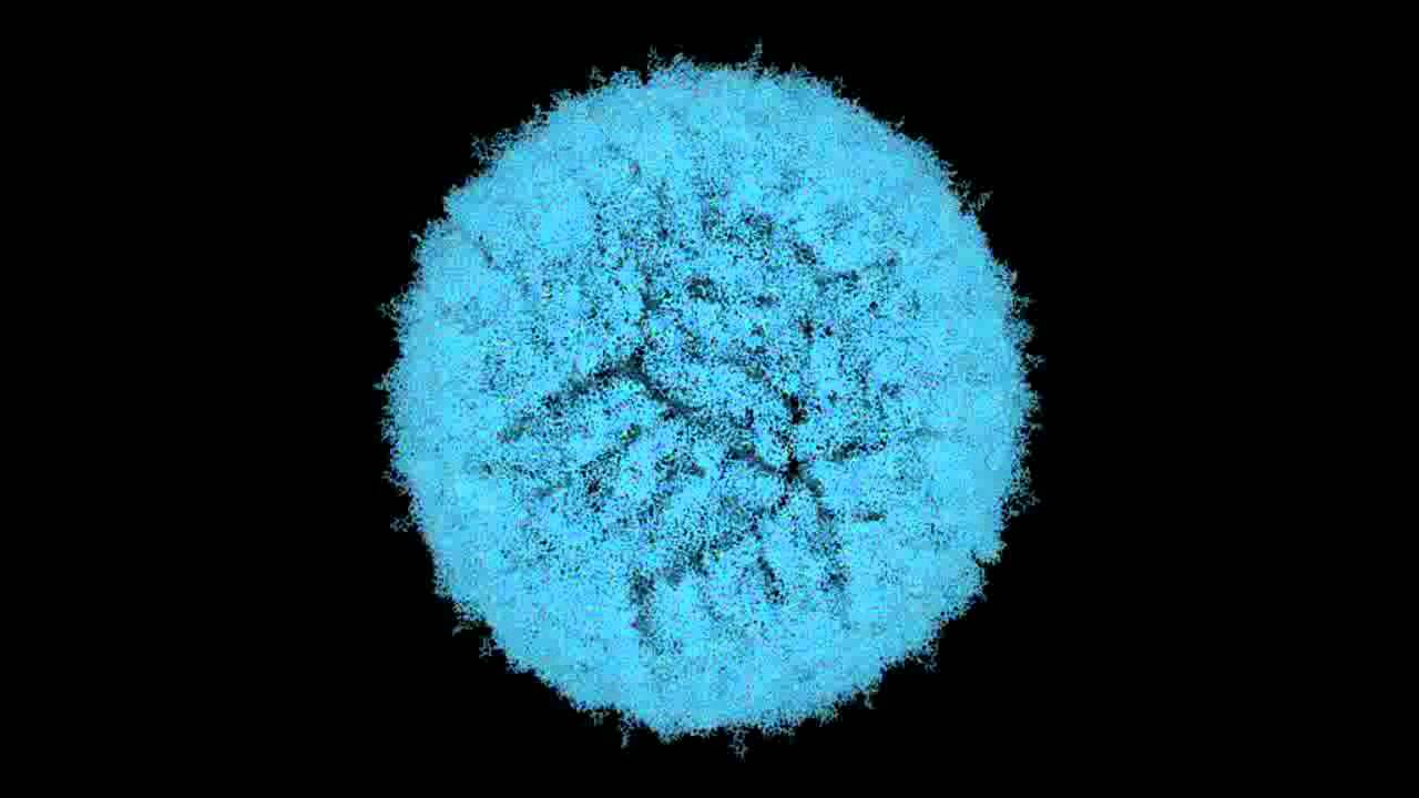 Модель оболочки вируса клещевого энцефалита. Фото: youtube.com