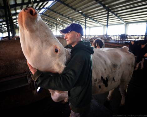 На Камчатке вырос объём производства мясной и молочной продукции