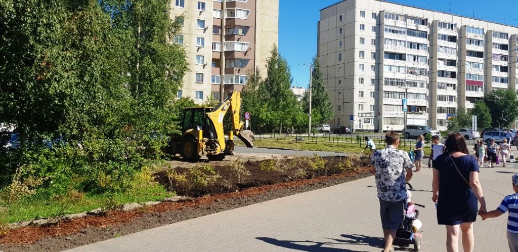 Новый газон засеяли в Петрозаводске на месте стихийного рынка