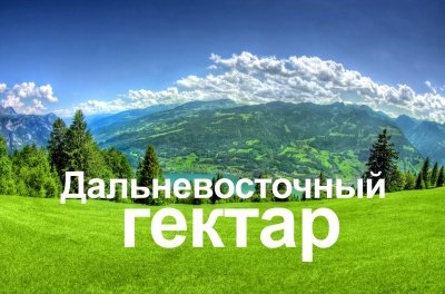 В Приморском крае за последний месяц выдано еще около 500 дальневосточных гектаров