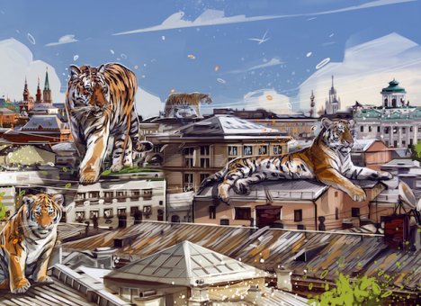 Автор лучшего стрит-арта с изображением амурского тигра получит награду
