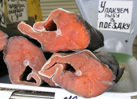 Дальневосточный лосось станет еще дешевле. Но в Москве