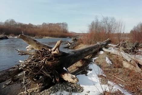 В Хабаровском крае водолазы помогли определить степень вины застройщика