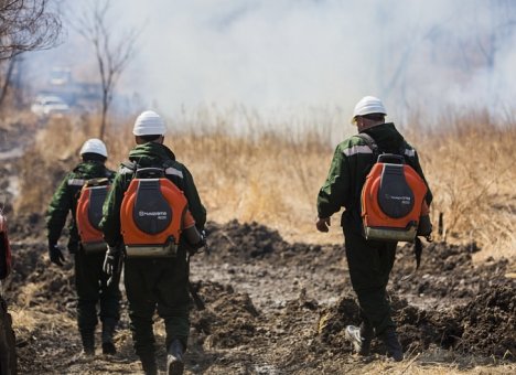 Особый противопожарный режим ввели в Хасанском районе Приморья