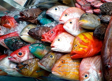 Рыбный рынок: Вы стройте, рыба будет!