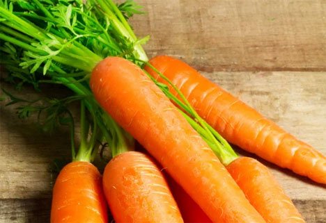 Первая партия приморской моркови отправляется в Японию