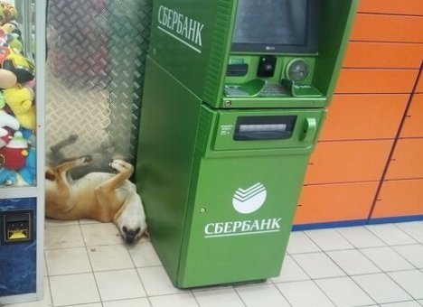 Мошенники освоили новый способ кражи денег через банкоматы Сбербанка