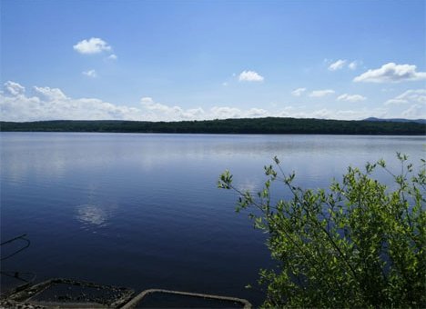 Шокирующие кадры с одного из водохранилищ Приморья всколыхнули общественность