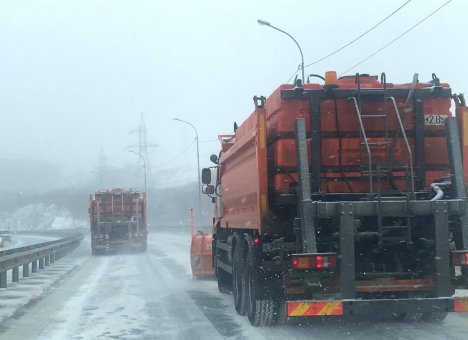 Во Владивостоке центральные улицы обработали химреагентами