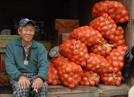С Китаем попытаются договориться о бесперебойных поставках огурцов и помидоров