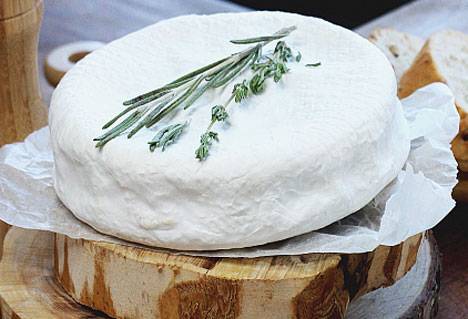Обладатели итальянских рецептов строят крафтовую сыроварню в Приморье