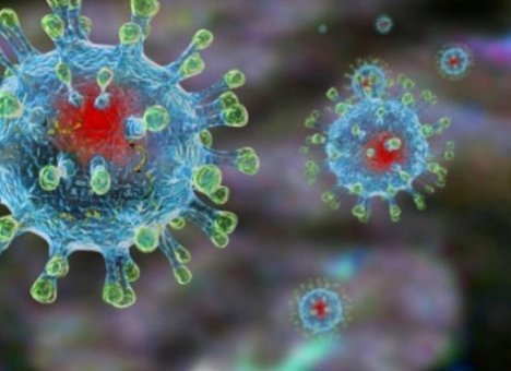 В Суйфэньхэ стремительно растет число заболевших коронавирусом