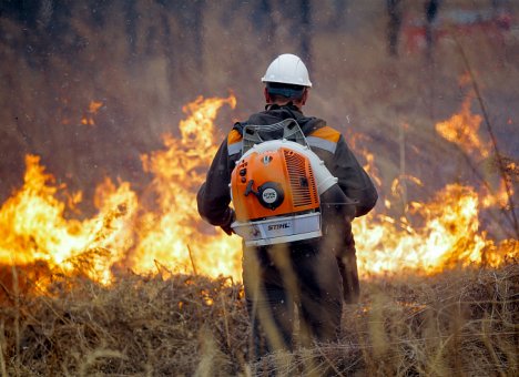 Приморье впервые за 10 лет признано готовым к пожароопасному периоду