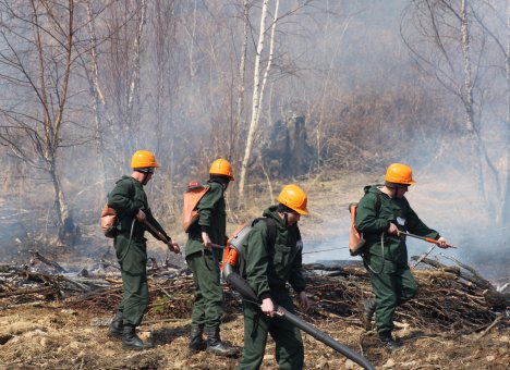 За лесные пожары – карать нещадно