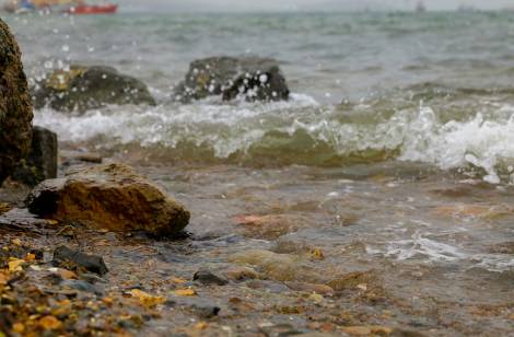 37 пляжей признаны подходящими для купания в Приморье