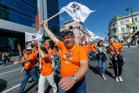 21-й День тигра во Владивостоке пройдет онлайн и не только